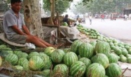 非洲网红吃瓜图片高清壁纸,高清壁纸下的美食诱惑