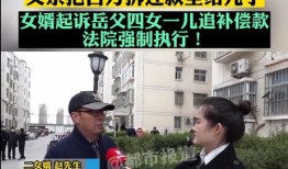 赵先生最新爆料新闻视频,揭秘最新新闻视频背后的惊人真相